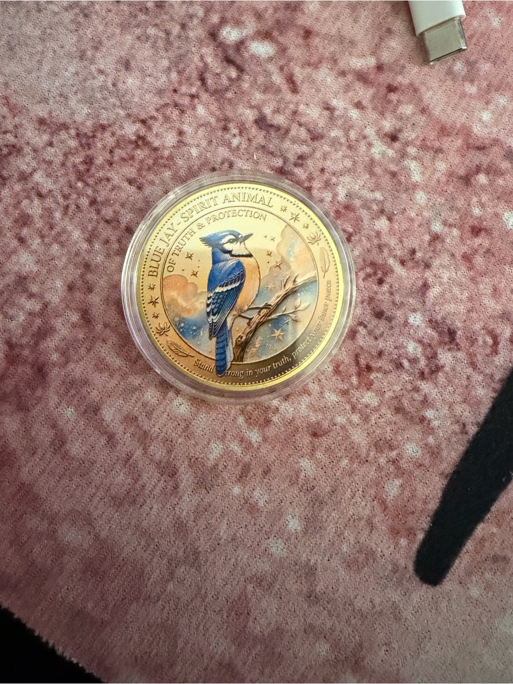 Blue and Gold Decorative Collectible Coin – Blue Jay Design